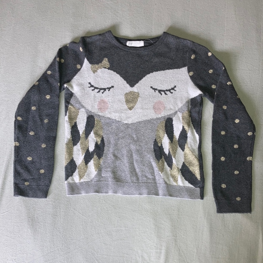H&M Girls Owl Sweater